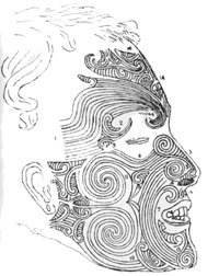 Polynesian Tattoos