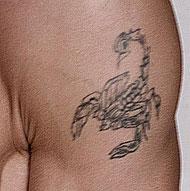 Scorpion Tattoo